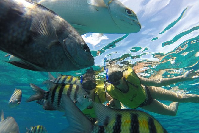 ATV Mud Kicking and Snorkeling by Boat in Cozumel - Safety, clothing, and who should skip it