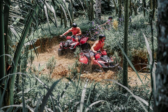 ATV Quad Bike Bali with Waterfall Gorilla Cave and Lunch - Gorilla Cave, Waterfall, Canyons, and River Stops