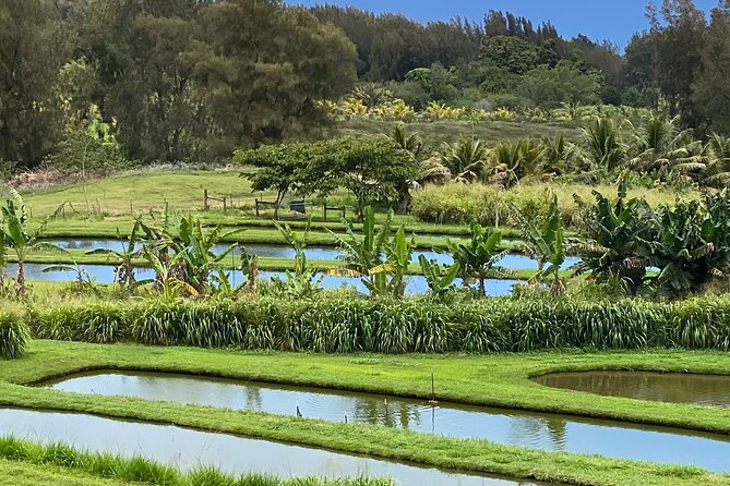ATV Ranch ride Big Island Hawaii - Who will enjoy this ride most