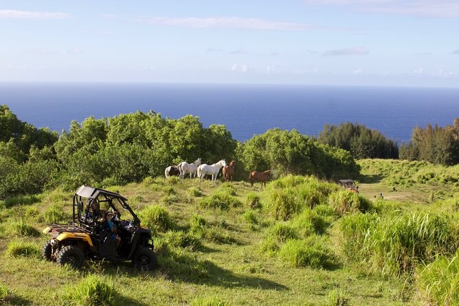 ATV Ranch ride Big Island Hawaii - Should you book the ATV Ranch ride?