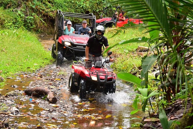 ATV River, Beach, Jungle Adventure and Crocodiles Hotspot from San Jose - Is $78 good value?