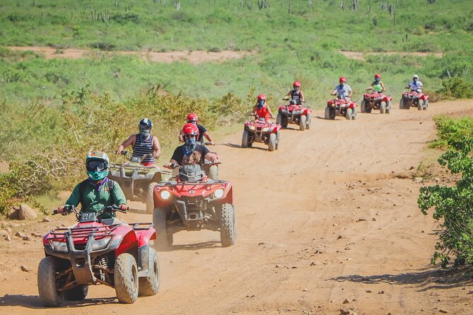 ATV Single in Cabo San Lucas /2 Hours/ migriño beach and desert - The tequila museum stop