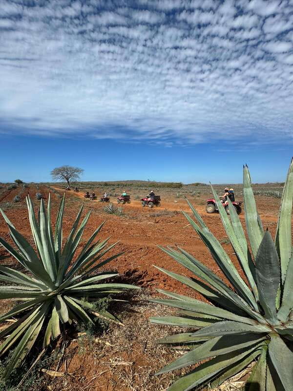ATV & TEMAZCAL COMBO TOUR - Who will enjoy this combination?