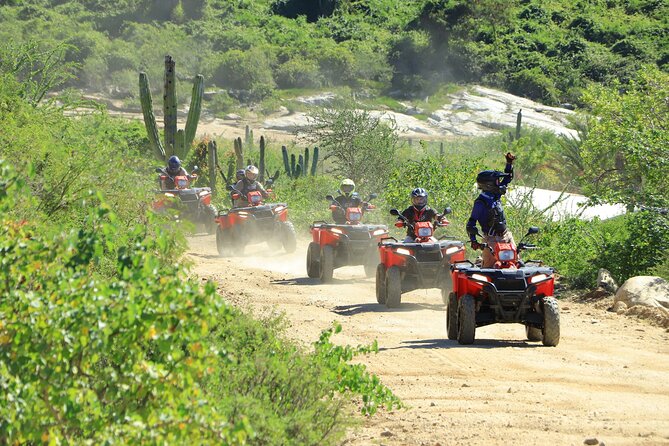 ATV Tour, Camel Ride, Tequila Tasting and Mexican Buffet Lunch - What this Cabo adventure actually includes