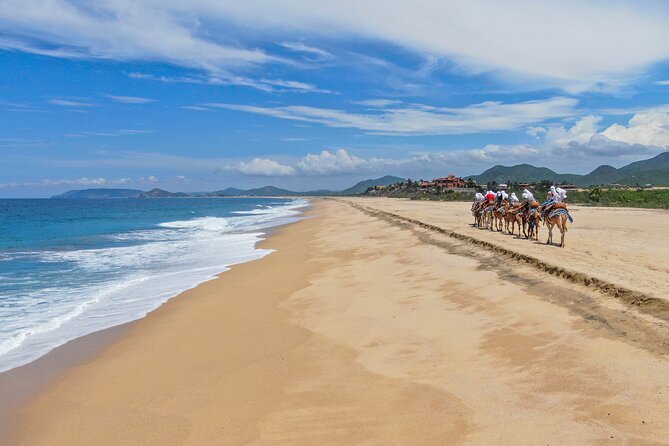 ATV Tour, Camel Ride, Tequila Tasting and Mexican Buffet Lunch - The real price: $149 becomes more