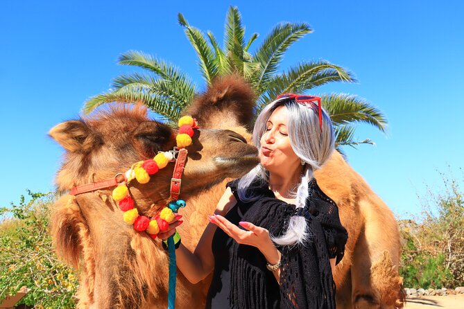 ATV Tour, Camel Ride, Tequila Tasting and Mexican Buffet Lunch - Pickup, timing, and what to bring