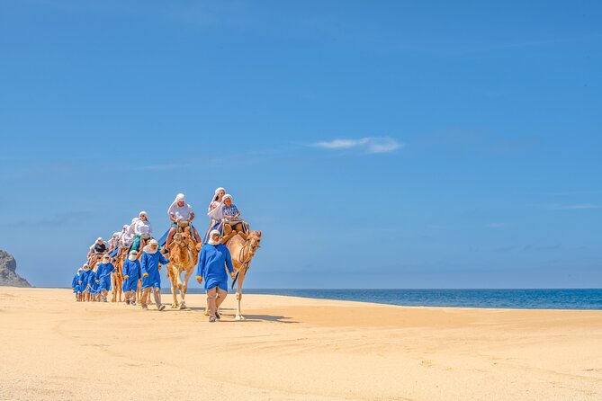 ATV Tour, Camel Ride, Tequila Tasting and Mexican Buffet Lunch - Should you book this Cabo tour?