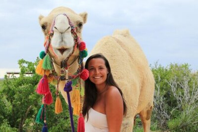 ATV Tour, Camel Ride, Tequila Tasting and Mexican Buffet Lunch - The camel ride beside the ocean