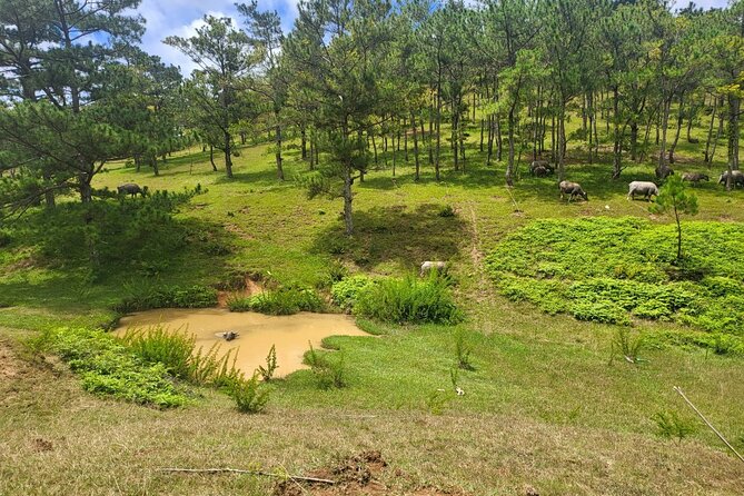 ATV Tour In The Dalat Mountains - Coffee, sugarcane juice, and Central Highlands food