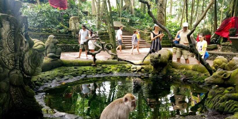 Bali: ATV Gorilla Cave, Ubud Monkey Forest, & Waterfall Tour - The driver can shape the whole day