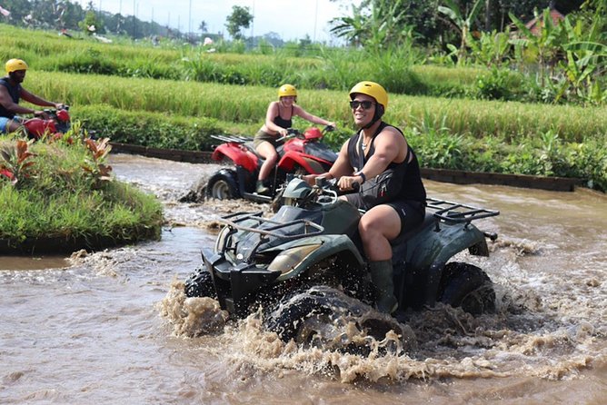 Bali ATV Quad Bike Adventures - Price and value at $39.78