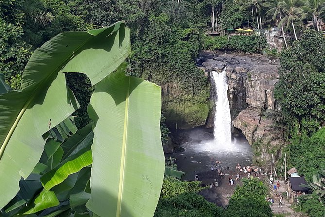 Bali ATV Rafting And Ubud Waterfall Private Tour - Coffee or tea at a plantation