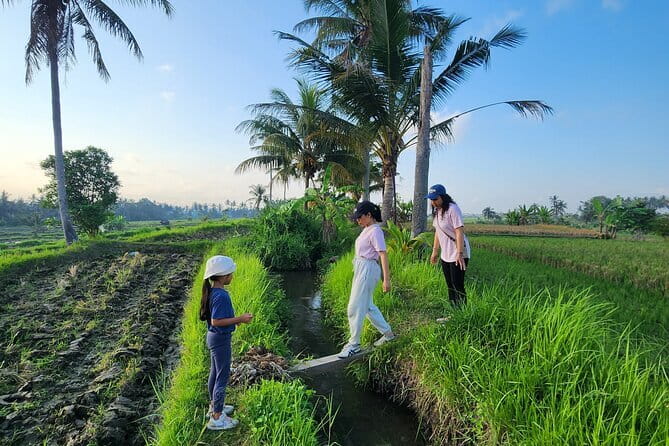 Bali ATV Ride On the Beach, Rice Field and Village Tour 2 Hour - Riding back through the countryside