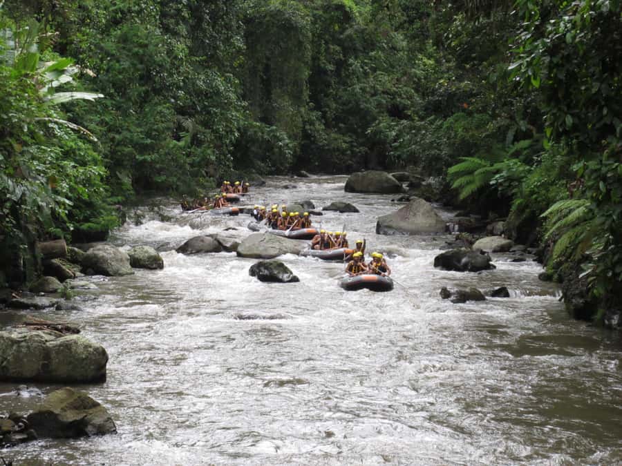 Bali: ATV, Water Rafting, and Monkey Forest Tour - Should you book the complete package?
