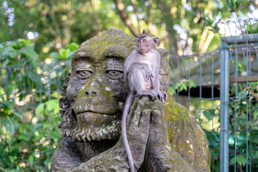 Bali: ATV, Water Rafting, and Monkey Forest Tour - Lunch, changing, and the practical middle of the day