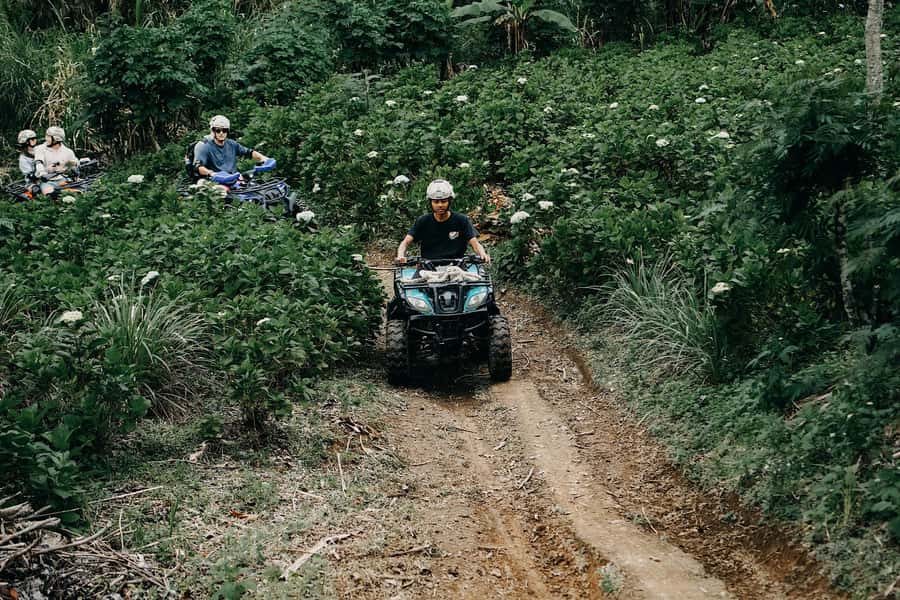 Bali: Dolphin Swimming Tour with ATV Quad Bike & Waterfall - Hydrangeas, coffee, and a quieter pause