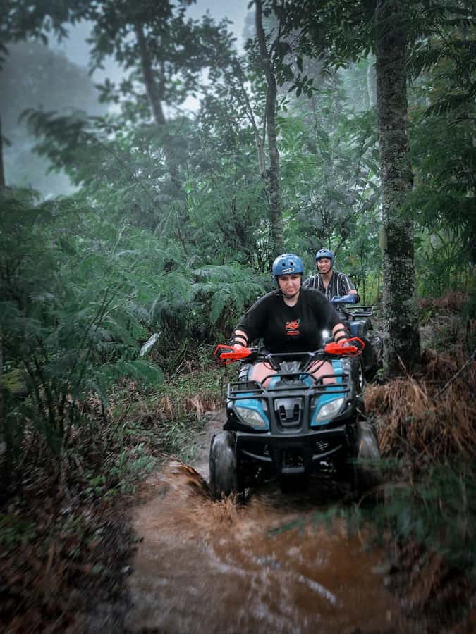 Bali: Dolphin Swimming Tour with ATV Quad Bike & Waterfall - Timing, comfort, and what to pack