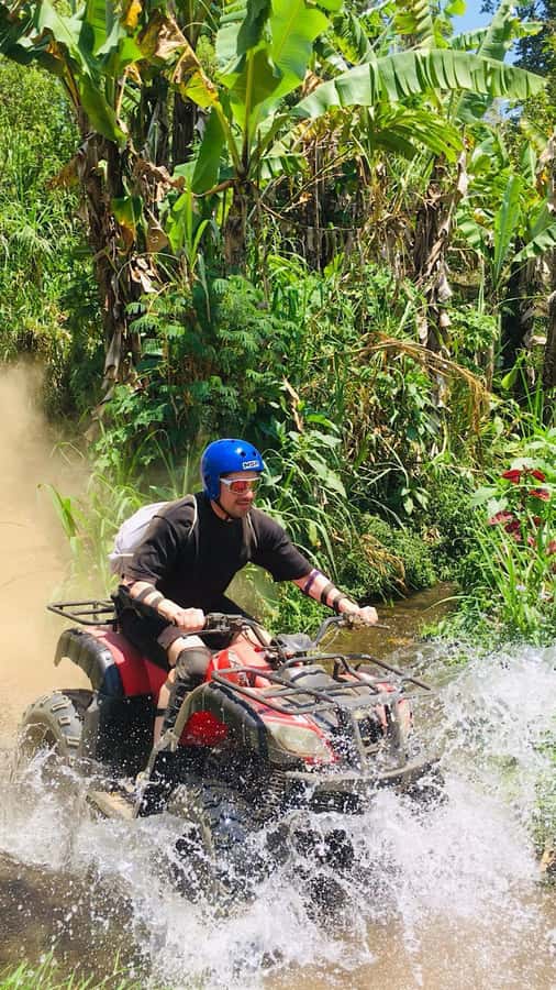 Bali: Dolphin Swimming Tour with ATV Quad Bike & Waterfall - Should you book this Bali tour?