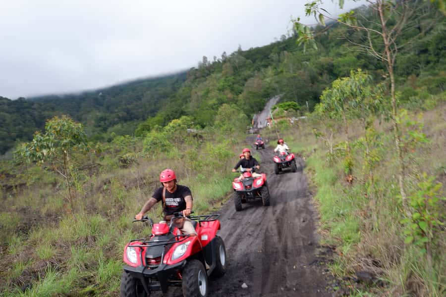 Bali: Mount Batur Quad Bike Tour and Natural Hot Springs - Coffee tasting and the final stop