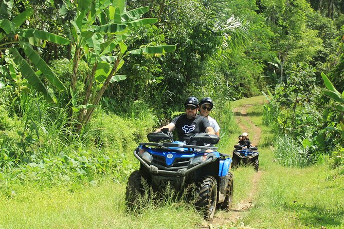Bali Quad and Buggy Discovery Tour, Including Round-Trip Transfer - What the Bali Quad and Buggy Discovery Tour is really like