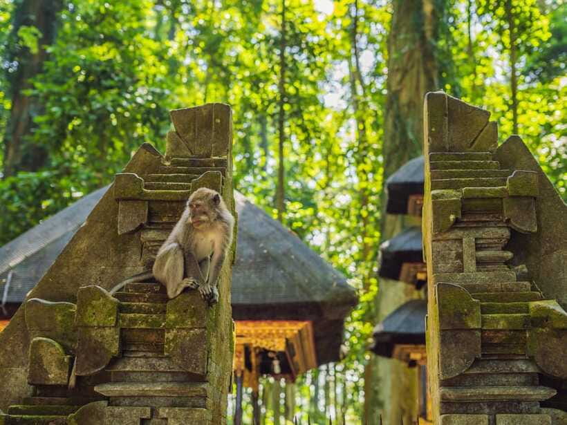 Bali: Ubud Adventure, ATV, Monkey Forest& Waterfall Tour - Tegenungan Waterfall after the heat