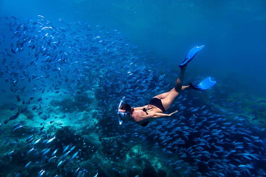 Bali: Ubud ATV and Blue Lagoon Snorkeling Tour with Lunch - Blue Lagoon and Tanjung Jepun under the surface