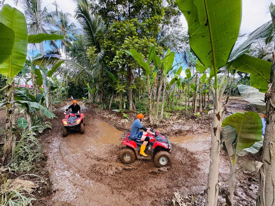 Bali: Ubud ATV Quad Bike, Jungle Swing & Rice Terrace Tour - Tegallalang Rice Terraces and the Subak Tradition
