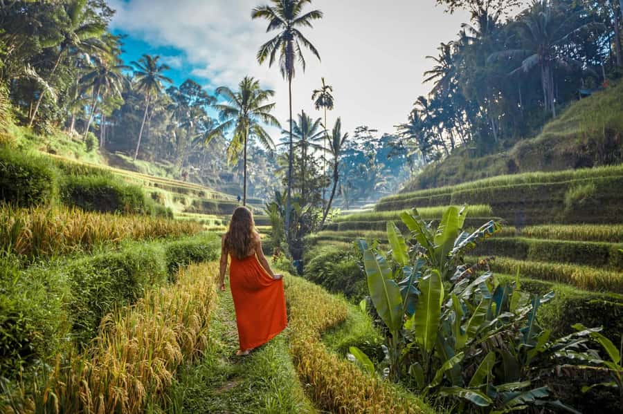 Bali: Ubud ATV Quad Bike, Jungle Swing & Rice Terrace Tour - Price, Value, and What Is Not Included