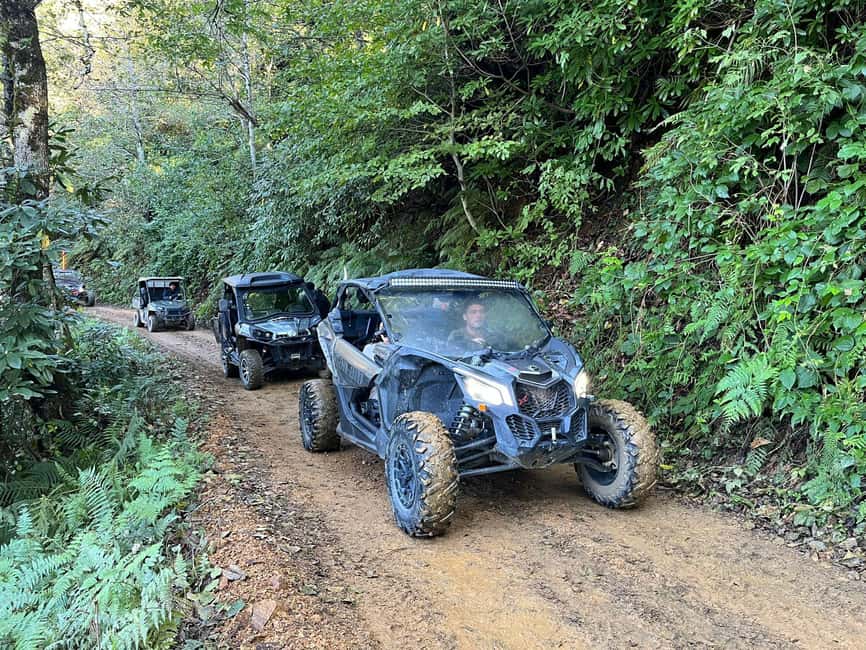 Batumi: Mtirala ATV, Buggy Maverick & Horse Riding Adventure - ATV riding on steep forest roads