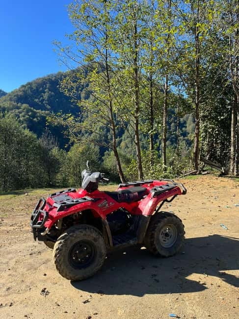 Batumi: Mtirala ATV, Buggy Maverick & Horse Riding Adventure - Buggy riding for shared thrills