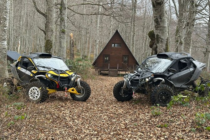 Batumi: Mtirala ATV, Buggy Maverick RZR & Horse Riding Adventure - The road from Batumi to Mtirala National Park