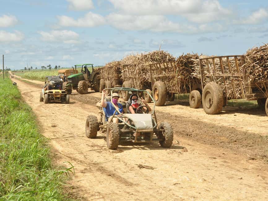 Bayahibe: Buggy and Horseback Riding Tour - Why this Bayahibe combination works