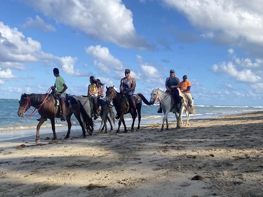 Bayahibe: Buggy and Horseback Riding Tour - Pickup from Los Melones and the timing puzzle