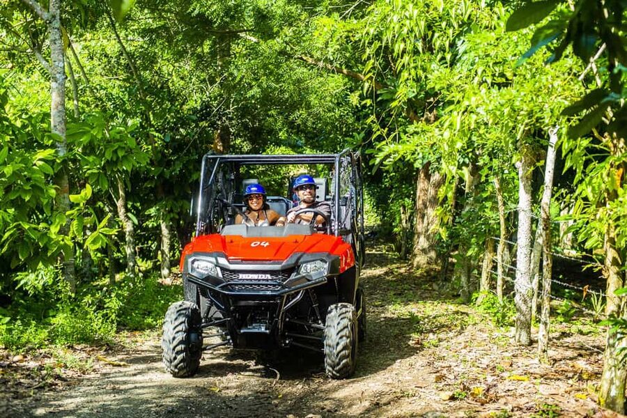 Bayahibe/La Romana: 4x4 Buggy and Monkeyland Tour - Getting behind the wheel of a Honda Pioneer 700