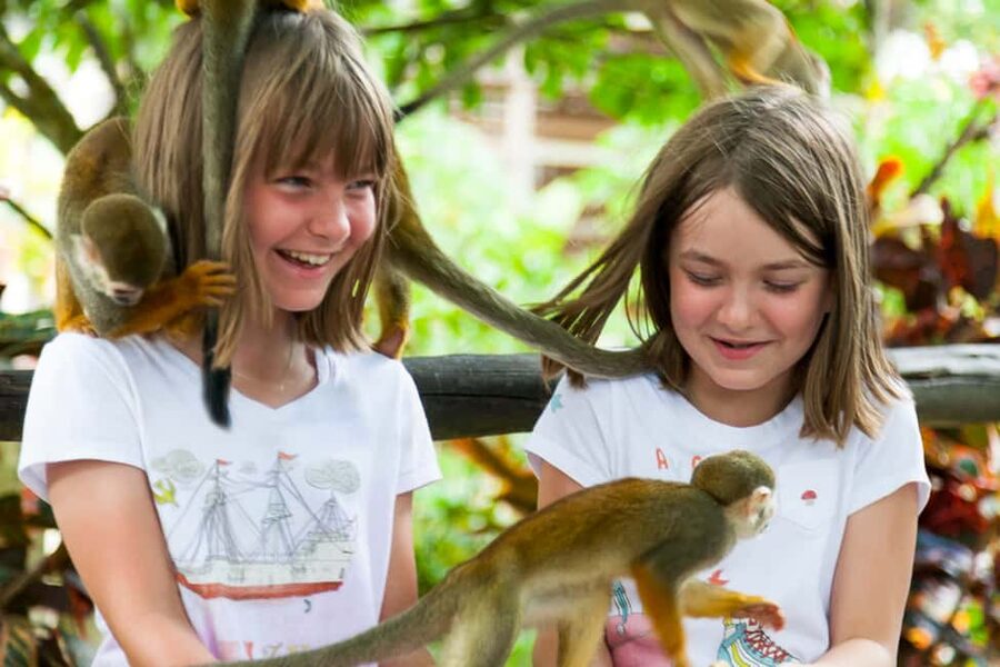Bayahibe/La Romana: 4x4 Buggy and Monkeyland Tour - Timing, comfort, and practical restrictions