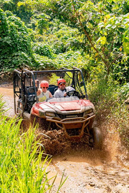 Bayahibe/La Romana: 4x4 Buggy and Monkeyland Tour - Who will enjoy this day most
