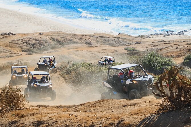 Beach and Desert UTV Tour in Cabo - Tequila tasting after the engines cool