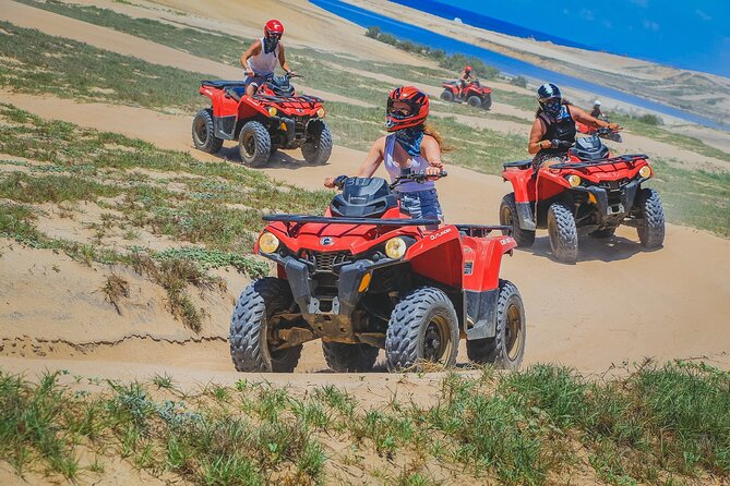 Beach ATV and Sky Bike Tour in Cabo - Tequila, reptiles, and a little Baja context