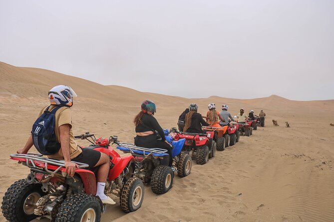 Beach Quad Biking and Sandboarding Adventure from Agadir - Takate offers sandy coastal riding