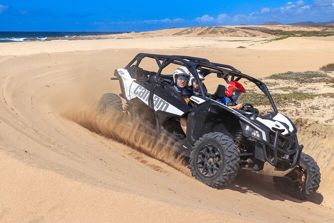 Beach UTV Adventure with Free Camel and Horseback Ride - Three Baja activities in one morning or afternoon