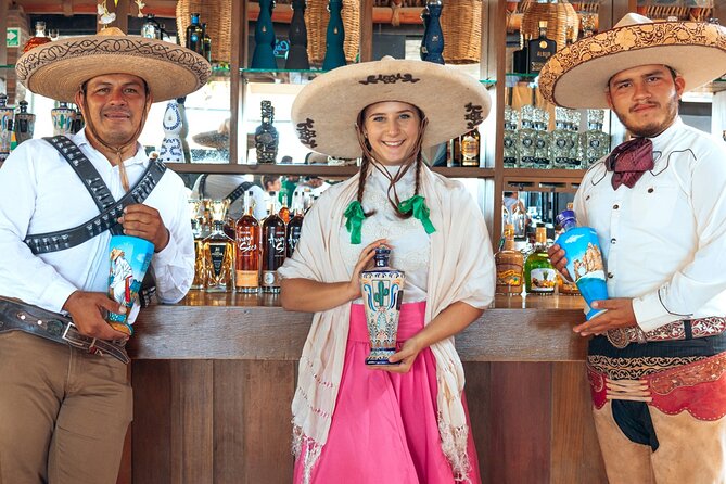 Beach UTV Adventure with Free Camel and Horseback Ride - Tequila tasting, water, and the on-site aviary
