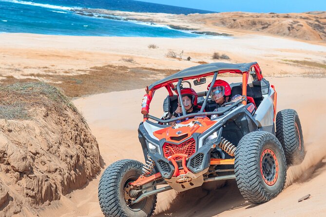 Beach UTV and Camel Ride Combo in Cabo - The camel encounter beside the Pacific