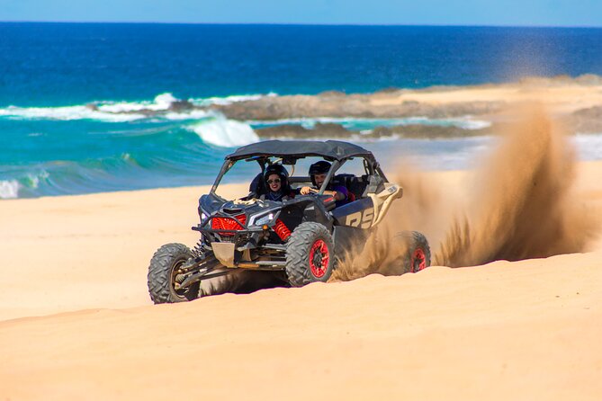 Beach UTV and Camel Ride Combo in Cabo - Why guide quality matters here