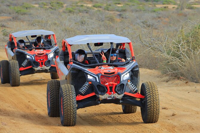 Beach UTV and Camel Ride Combo in Cabo - What the $100 price really buys