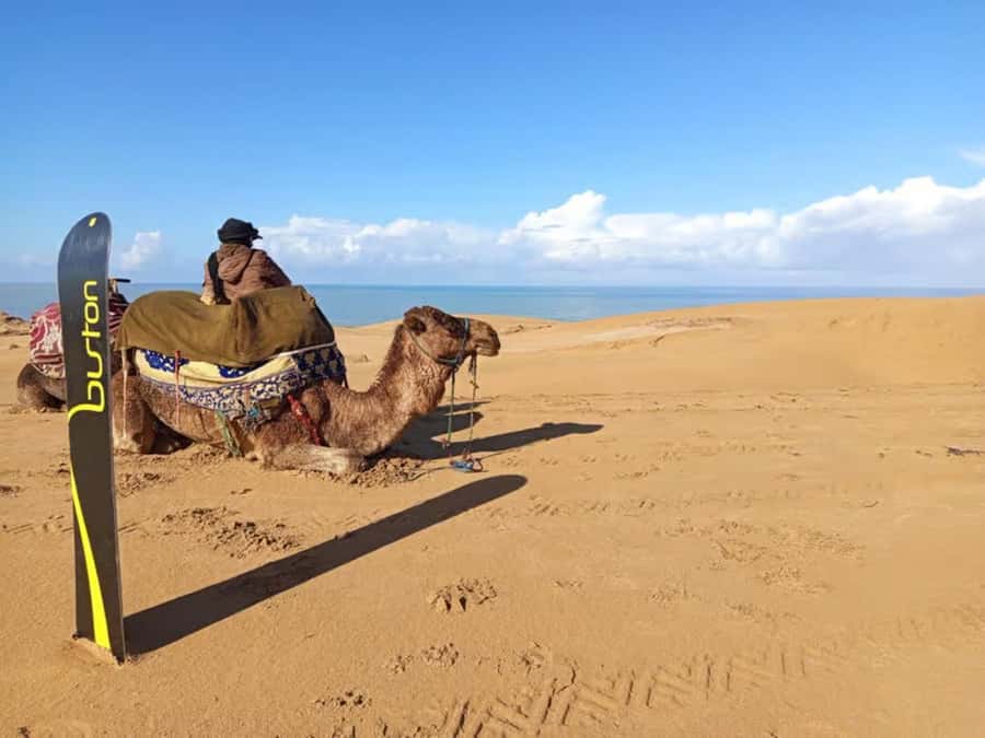 Best Agadir Desert Adventure: Quad Camel Sandboarding & BBQ - Guides, transport, and group comfort