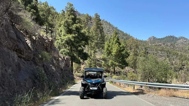 BEST FAMILY & FRIENDS FUN BUGGY TOUR - Key points to know before booking