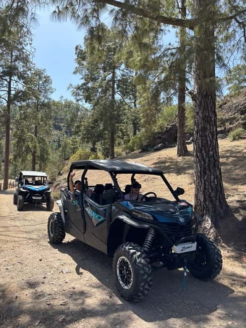 BEST FAMILY & FRIENDS FUN BUGGY TOUR - Why this buggy ride is different from a beach excursion