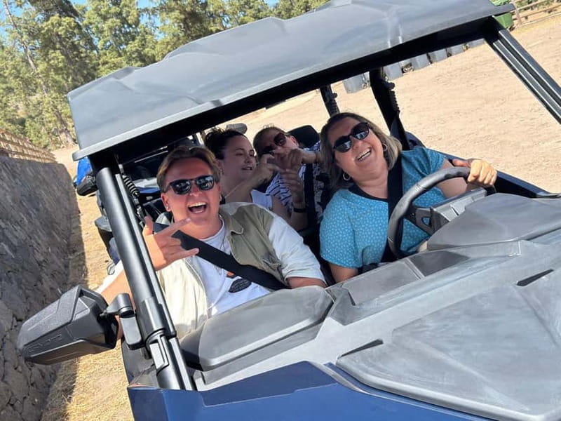 BEST FAMILY & FRIENDS FUN BUGGY TOUR - From Maspalomas toward the Ayagaures Valley
