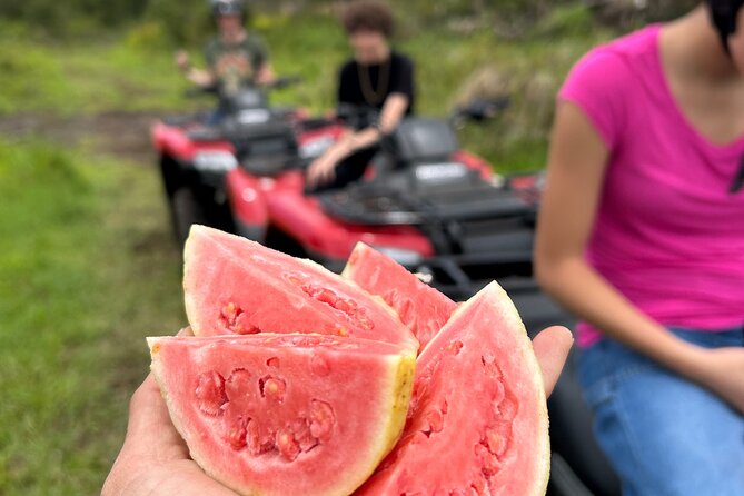 Big Island ATV Tour at Ohana Ranch - Key things to know before you book