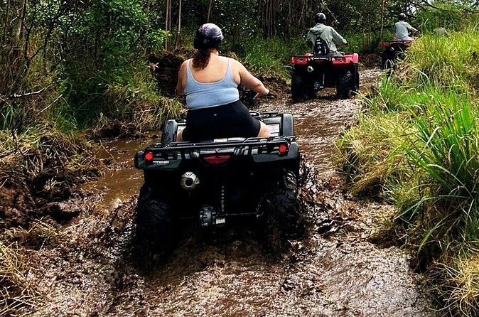 Big Island ATV Tour at Ohana Ranch - Animals, fruit tasting, and hands-on moments